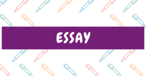 essay