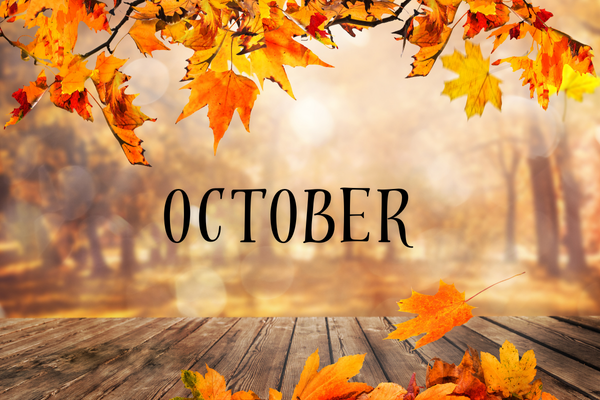 current affairs oct-2024