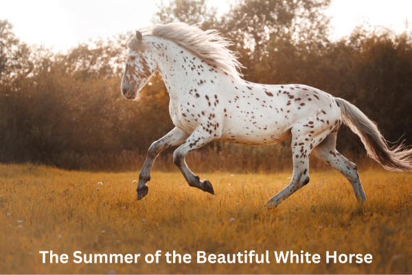 The Summer of the Beautiful White Horse