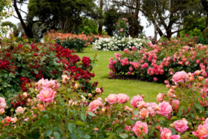 gardens in india